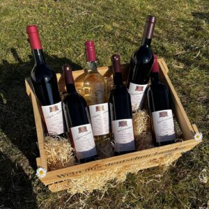 Paket3: Rotwein trocken - feinherb