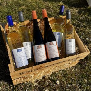 Paket1: Weißwein trocken - feinherb